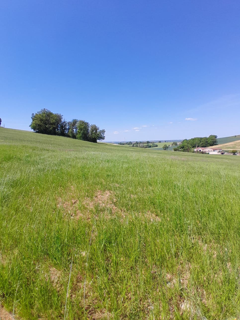 TERRAIN + MAISON DE 129 M2 A CARLUS